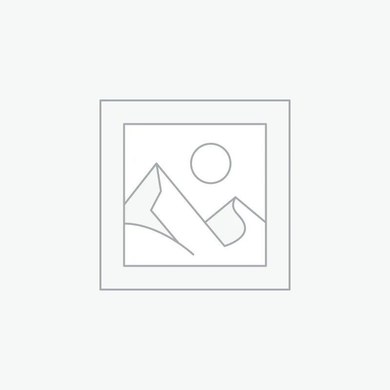 HP EliteBook 865 G11 Notebook (8A4V8EA) - AMD Ryzen 5 - 8540U - RAM 16Go - SSD 512Go - Radeon 740M - Ecran 16" IPS - Windows 11 Pro